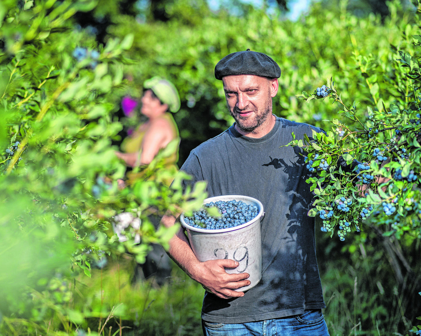 Bioland Heidelbeeren, direkt vom Hof aus Niedersachsen