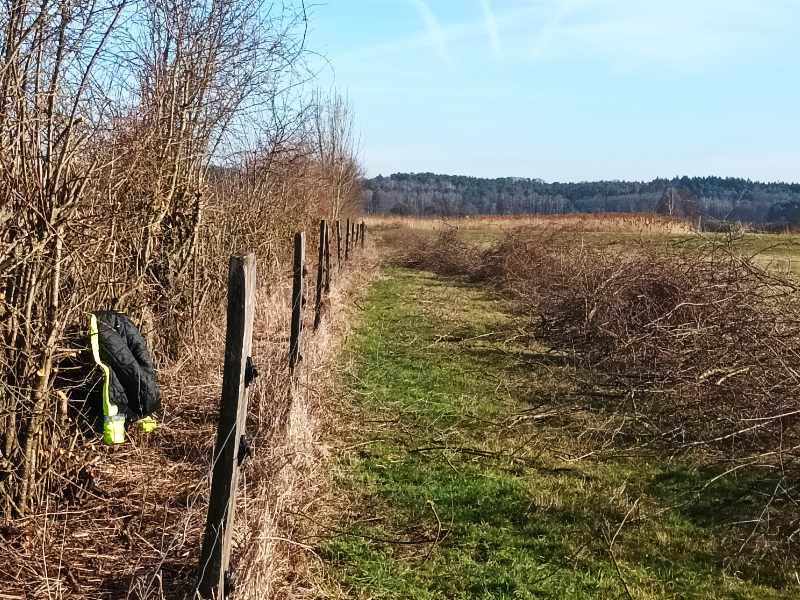 Landschaftspflege: Warum das Heckenschneiden weit mehr als „Kosmetik“ ist