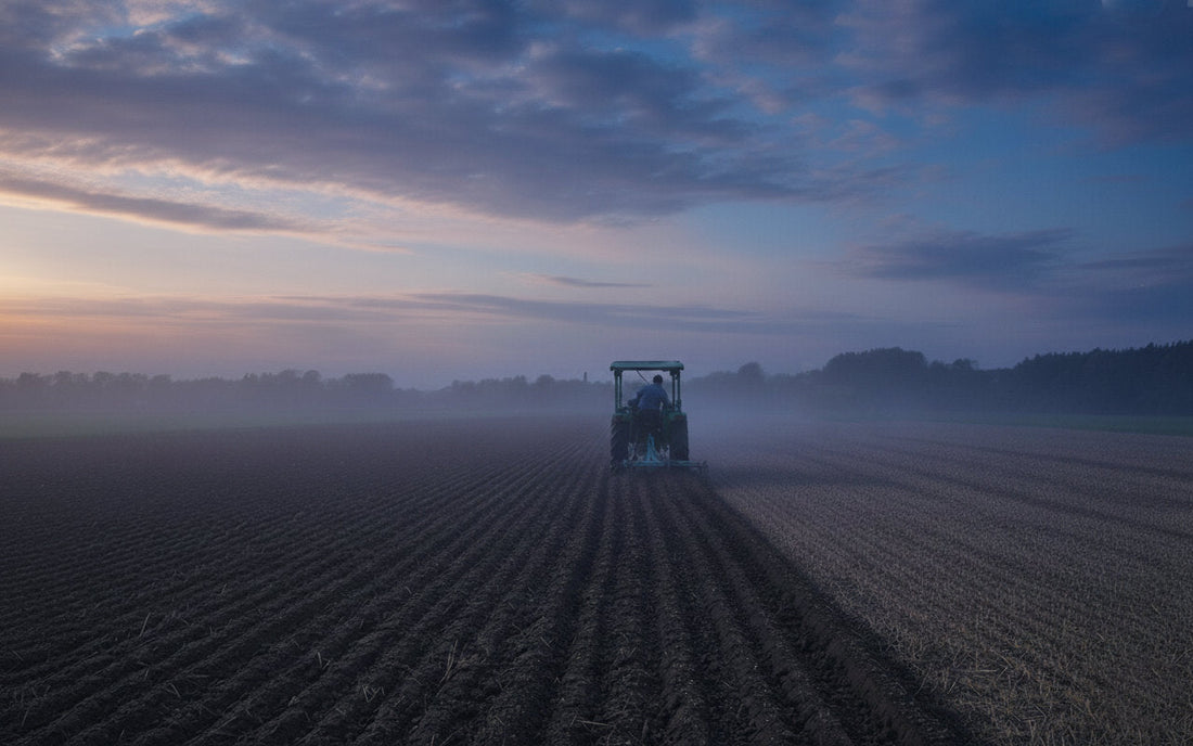 Was im Herbst und Winter auf dem Biolandhof Scharein passiert