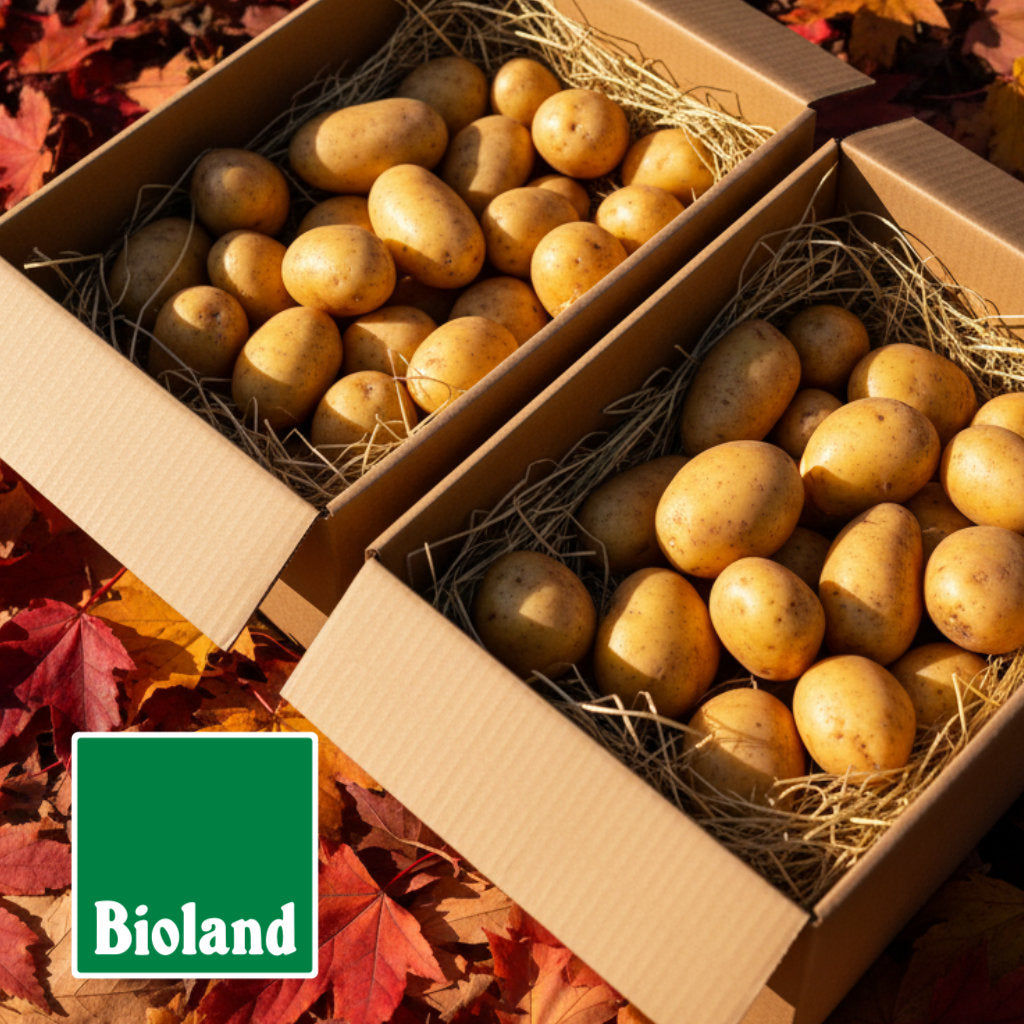 Bioland Kartoffeln online