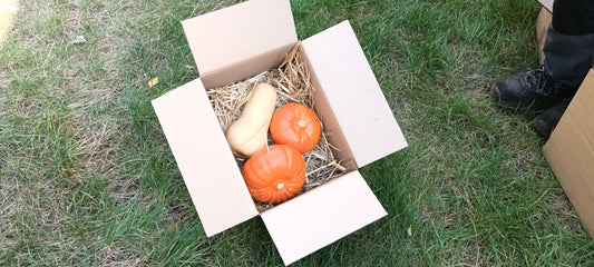 Kleine Herbstkiste Bioland Kürbisse im Mix 4kg