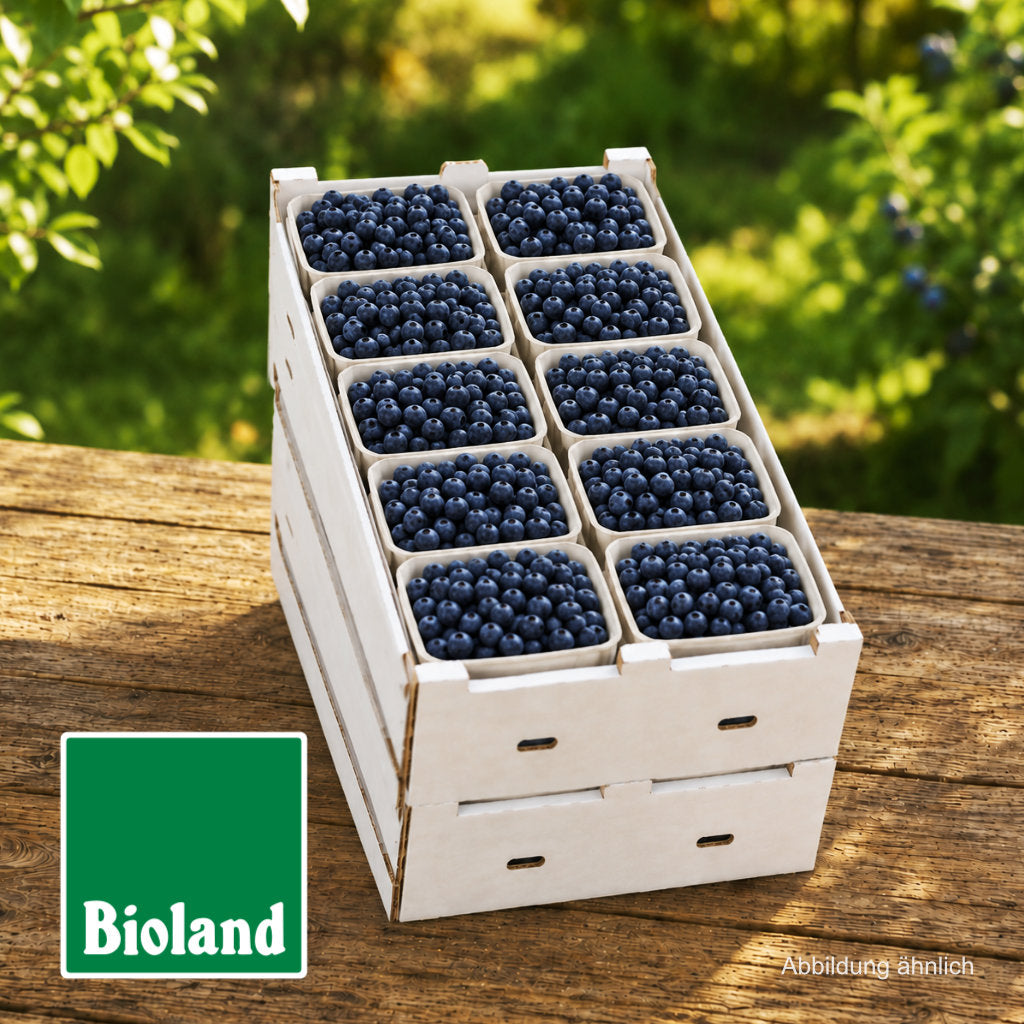 Frische Bioland Heidelbeeren, direkt vom Hof aus Niedersachsen