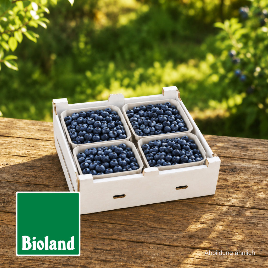 Frische Bioland Heidelbeeren, direkt vom Hof aus Niedersachsen