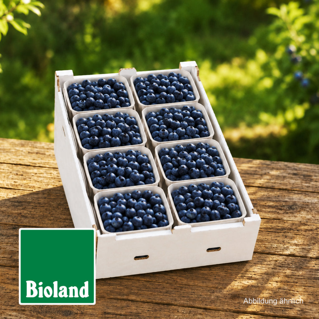 Frische Bioland Heidelbeeren, direkt vom Hof aus Niedersachsen