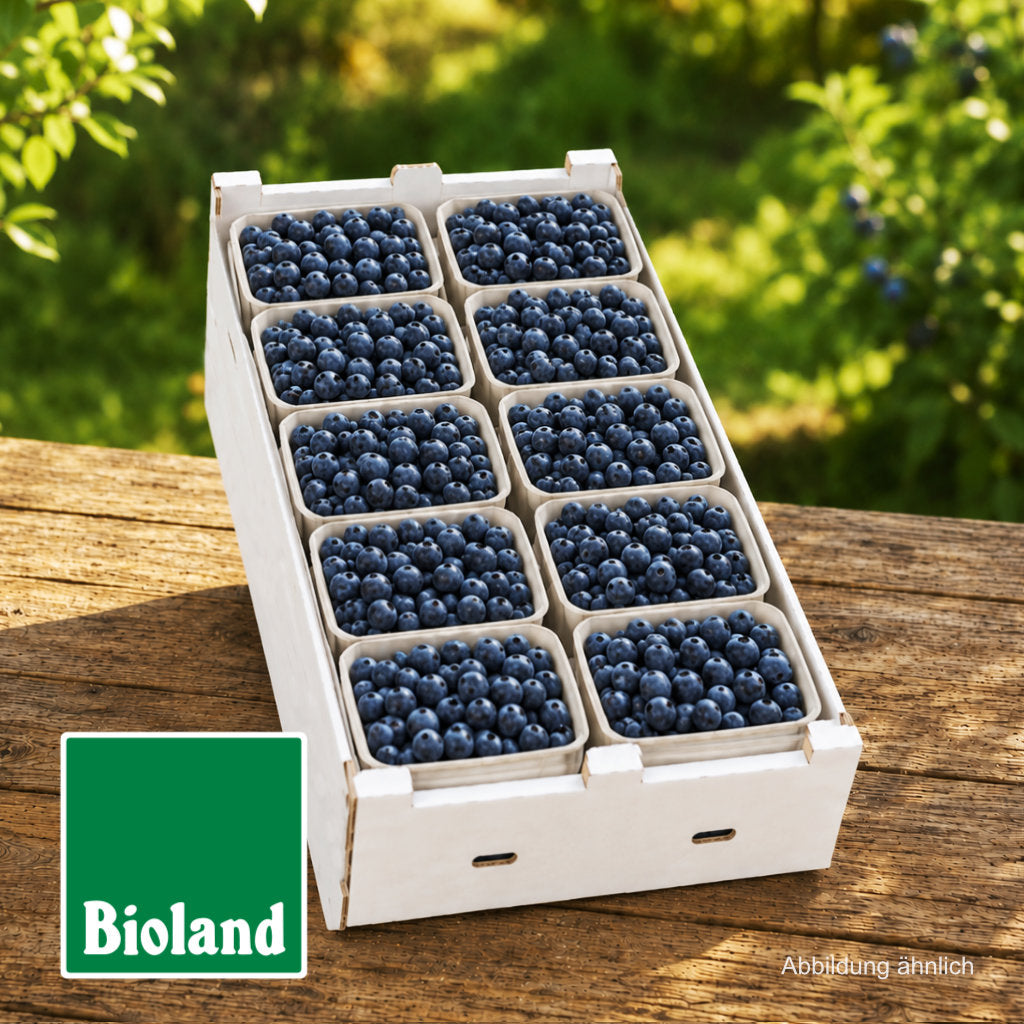 Frische Bioland Heidelbeeren, direkt vom Hof aus Niedersachsen